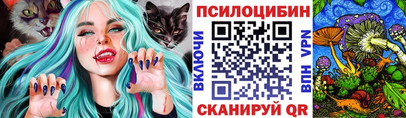 Псилоцибиновые грибы Cubensis  Пошехонье 